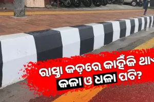 ରାସ୍ତା କଡ଼ରେ ଥିବା ପଥରରେ କାହିଁକି ଥାଏ କଳା ଓ ଧଳା ରଙ୍ଗ? ଜାଣନ୍ତୁ ଏହା ପଛର ପ୍ରକୃତ କାରଣ