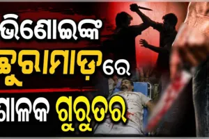 ପାରିବାରିକ କଳହ: ଭିଣୋଇଙ୍କ ଛୁରାମାଡ଼ରେ ଶଳା ଗୁରୁତର, ଏମକେସିଜିରେ ଚାଲିଛି ଚିକିତ୍ସା
