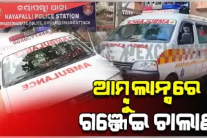 ଆମ୍ବୁଲାନ୍ସର ସିକ୍ରେଟ୍ ଚାମ୍ବରରେ ହେଉଥିଲା ଗଞ୍ଜେଇ ଚାଲାଣ; ମାଡିବସିଲା ନୟାପଲ୍ଲୀ ଥାନା ପୋଲିସ, ୨ଗିରଫ 