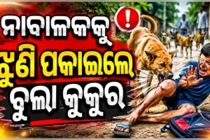ଗଞ୍ଜାମରେ ଅଭାବନୀୟ ଘଟଣା: ୯ ବର୍ଷର ଶିଶୁପୁତ୍ରକୁ ଝୁଣି ପକାଇଲେ ବୁଲା କୁକୁର 