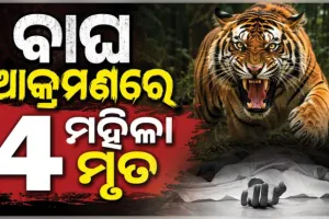 ମହାରାଷ୍ଟ୍ରରେ ବାଘ ଆତଙ୍କ: କେନ୍ଦୁ ପତ୍ର ତୋଳିବାକୁ ଯାଇଥିବା ୪ ମହିଳାଙ୍କୁ ମାରିଦେଲା ମହାବଳ