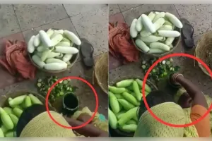 ରେଳ ଷ୍ଟେସନରେ କାକୁଡ଼ିରେ ସବୁଜ ରଙ୍ଗ ଦେଉଛନ୍ତି ମହିଳା ଦେଖନ୍ତୁ ଭାଇରାଲ୍ ଭିଡିଓ