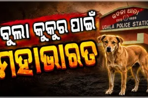 ଛେଳିକୁ ଆକ୍ରମଣ କଲା ବୁଲା କୁକୁର, ହେଲେ ମାଡ ଖାଇଲେ ବିଧବା ମହିଳା ଏବଂ ଦିବ୍ୟାଙ୍ଗ ଝିଅ