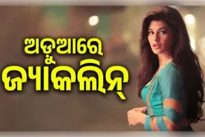 'ସୁକେଶଙ୍କ ସହ ସାମିଲ ଥିଲେ ଜ୍ୟାକଲିନ୍': ୨୦୦ କୋଟି ଟଙ୍କାର ଠକେଇ ମାମଲାରେ ଅଭିନେତ୍ରୀଙ୍କୁ 'ପୀଡ଼ିତା' ବଦଳରେ 'ଅଭିଯୁକ୍ତ' କହିଲେ କୋର୍ଟ