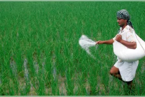 ଓଡ଼ିଶାରେ ସାର ସମବାୟ ସମିତି ପାଇଁ ୪୨ କୋଟି ଟଙ୍କାର ସୁଧ ରିହାତି ଯୋଜନା ଅନୁମୋଦିତ