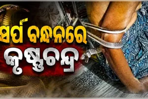 ଆଡ଼େନିଗଡ଼ ଗାଁରେ ଅଘଟଣ: ଦୁଇ ଘଣ୍ଟା ସାପ ବନ୍ଧନରେ ରହିଲେ ପକ୍ଷାଘାତ ରୋଗୀ...