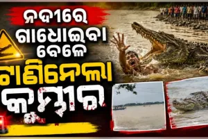 ଯାଜପୁରରେ କୁମ୍ଭୀର ଆତଙ୍କ: ଖରସ୍ରୋତା ନଦୀରେ ଗାଧୋଇବା ବେଳେ ଟାଣିନେଲା କୁମ୍ଭୀର, ଉଦ୍ଧାର କାର୍ଯ୍ୟ ଜାରି