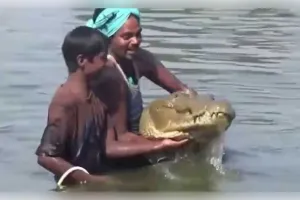 ଛତିଶଗଡ଼ରେ ମଣିଷ-କୁମ୍ଭୀର ସମ୍ପର୍କର ବିରଳ ଚିତ୍ର: ୧୩୦ ବର୍ଷର 'ଗଙ୍ଗାରାମ'ର ମୃତ୍ୟୁରେ କାନ୍ଦିଥିଲା ପୂରା ଗାଁ