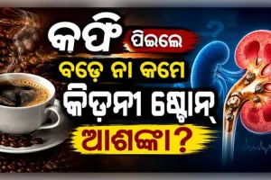 କଫି ପିଇଲେ ବଢ଼େ ନା କମେ କିଡନୀ ଷ୍ଟୋନ୍ ହେବାର ଆଶଙ୍କା? ଜାଣନ୍ତୁ କ'ଣ କହୁଛନ୍ତି ବିଶେଷଜ୍ଞ