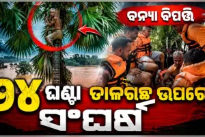 ଭଦ୍ରକରେ ବନ୍ୟା ବିପତ୍ତି: ୨୪ ଘଣ୍ଟା ଧରି ତାଳଗଛ ଉପରେ ଫସି ରହିବା ପରେ ଚାଷୀଙ୍କୁ ଉଦ୍ଧାର କଲା ଓଡ୍ରାଫ୍ ଟିମ୍