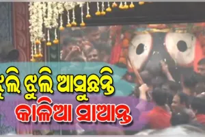 ଝୁଲି ଝୁଲି ବଡ଼ଦାଣ୍ଡକୁ ଆସୁଛନ୍ତି ମହାବାହୁ; ନନ୍ଦିଘୋଷ ରଥରେ ବସି ମାଉସୀ ଘରକୁ ଯିବେ କାଳିଆ ସାଆନ୍ତ 