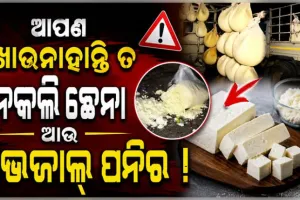 ଟ୍ୱିନ୍‌‌ସିଟିରେ ଖାଦ୍ୟ ସୁରକ୍ଷା ଯାଞ୍ଚ କଡ଼ାକଡ଼ି: ବିପୁଳ ପରିମାଣର ଭେଜାଲ ପନିର, ନକଲି ଛେନା ଜବତ 