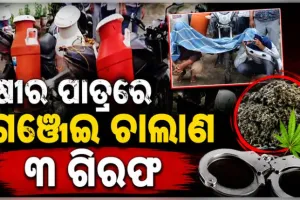 ଗଞ୍ଜେଇ ଚାଲାଣର ଅଭିନବ ପ୍ରୟାସ: କ୍ଷୀର ପାତ୍ରରେ ଚାଲାଣ ବେଳେ ୩ ଗିରଫ, ୪୪ କେଜି ଜବତ 