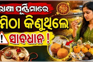 ରାଜଧାନୀରେ ନକଲି ଛେନା ଓ ପନିର ବିରୋଧରେ ଜୋରଦାର ଯାଞ୍ଚ; ବିଭିନ୍ନ ମିଠା ଦୋକାନରେ BMC ସ୍ୱାସ୍ଥ୍ୟ ବିଭାଗ ପକ୍ଷରୁ ଚଢ଼ାଉ