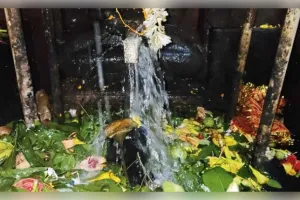 ଝାଡ଼ଖଣ୍ଡର ରହସ୍ୟମୟ 'ଟୁଟି ଝରନା' ଶିବ ମନ୍ଦିର: ଯେଉଁଠି ମା' ଗଙ୍ଗା ନିଜେ କରନ୍ତି ମହାଦେବଙ୍କ ଜଳାଭିଷେକ