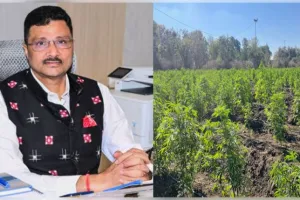 ସରକାରୀ ଜମିରେ ଗଞ୍ଜେଇ ଚାଷ ହେଲେ କଡା କାର୍ଯ୍ୟାନୁଷ୍ଠାନ, ୬ଟି ଜିଲ୍ଲାର ଜିଲ୍ଲାପାଳଙ୍କୁ ଚିଠି ଲେଖିଲେ ରାଜସ୍ୱ ସଚିବ 