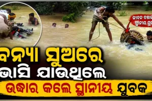 ବାଲେଶ୍ୱରରେ ବନ୍ୟା ବିଭୀଷିକା; ପାଣିର ସୁଅରେ ଭାସିଯାଉଥିବା ବ୍ୟବସାୟୀଙ୍କୁ ଉଦ୍ଧାର କଲେ ସ୍ଥାନୀୟ ଯୁବକ