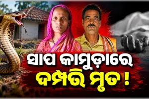 ସ୍ତ୍ରୀ ମୃତ୍ୟୁର ଦିନକ ପରେ ସାପ କାମୁଡ଼ାରେ ଚାଲିଗଲା ସ୍ୱାମୀଙ୍କ ଜୀବନ 
