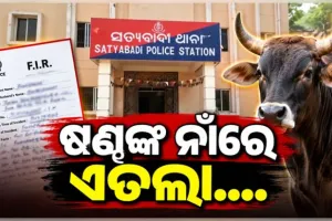 ବୁଲା ଷଣ୍ଢଙ୍କ ଉପଦ୍ରବରେ ଅତିଷ୍ଠ ଶହଶହ ଚାଷୀ, ଶେଷରେ ଥାନାର ଦ୍ୱାରସ୍ଥ ହୋଇ ଦେଲେ ଏତଲା