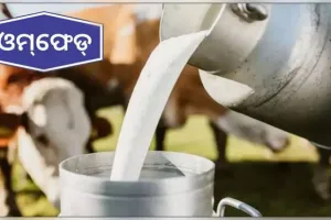 ଦୁଗ୍ଧ ଚାଷୀଙ୍କୁ ଲିଟର ପିଛା ୨ ଟଙ୍କା ଅଧିକ ଦେବାକୁ ଓମ୍‌ଫେଡ୍ ପକ୍ଷରୁ ନିଷ୍ପତ୍ତି, ସେପ୍ଟେମ୍ବର ୧୧ରୁ ଲାଗୁ