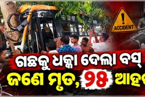 ନୟାଗଡ଼ରେ ମର୍ମନ୍ତୁଦ ସଡ଼କ ଦୁର୍ଘଟଣା: ଗଛରେ ପିଟି ହେଲା ବସ୍, ଜଣେ ମୃତ ଓ ୨୫ ଆହତ