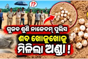 ମିଛ ଗୁଜବ ଶୁଣି ପୁଲିସ ନାକେଦମ୍‌‌; ଶବ ଖୋଜୁଖୋଜୁ ମିଳିଲା ଅଣ୍ଡା
