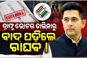 ପଞ୍ଜାବ ଭୋଟର ତାଲିକାରୁ କଟିଲା ରାଘବ ଚଢ଼ାଙ୍କ ନାଁ: ଆଣିଲେ ରାଜନୈତିକ ଷଡ଼ଯନ୍ତ୍ରର ଅଭିଯୋଗ 