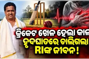 କ୍ରିକେଟ୍ ଖେଳୁଥିବା ବେଳେ ଟଳିପଡ଼ିଲେ ରାଜସ୍ୱ ନିରୀକ୍ଷକ, ହୃଦଘାତରେ ମୃତ୍ୟୁ ସନ୍ଦେହ