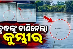 ଯାଜପୁରରେ ଅଘଟଣ: ଖରସ୍ରୋତା ନଦୀରେ ବୃଦ୍ଧଙ୍କୁ ଟାଣିନେଲା କୁମ୍ଭୀର, ଖୋଜାଖୋଜି ଜାରି