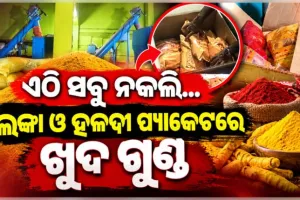 ବ୍ରହ୍ମପୁରରେ ନକଲି ମସଲା କାରଖାନା ଠାବ, ୩୦୦୦ କେଜି ଅପମିଶ୍ରିତ ହଳଦୀ ଓ ଲଙ୍କା ଗୁଣ୍ଡ ଜବତ