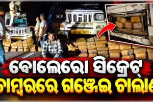 ବୋଲେରୋର ସିକ୍ରେଟ୍ ଚାମ୍ବରରେ ହେଉଥିଲା ଗଞ୍ଜେଇ ଚାଲାଣ, ମାଡିବସିଲା ପୋଲିସ; ୨୧୪ କେଜି ଗଞ୍ଜେଇ ଜବତ, ଜଣେ ଗିରଫ 