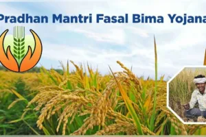 PM ଫସଲ ବୀମା ଡାଟା ଅପଲୋଡରେ ଅବହେଳା: ୬ ଜିଲ୍ଲାର ADMଙ୍କୁ କାରଣ ଦର୍ଶାଅ ନୋଟିସ୍