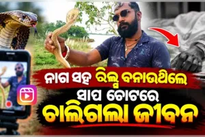 ରିଲ୍ ନିଶା ନେଲା ଜୀବନ: ବିଷଧର ନାଗ ସାପ କାମୁଡ଼ାରେ ସାପୁଆଙ୍କ ମୃତ୍ୟୁ 
