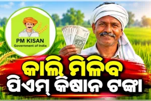 କାଲି ମିଳିବ ୨୪ତମ ପିଏମ୍ କିଷାନ କିସ୍ତି ଟଙ୍କା, ଉପକୃତ ହେବେ ରାଜ୍ୟର ୩୫ ଲକ୍ଷରୁ ଉର୍ଦ୍ଧ୍ୱ ଚାଷୀ 