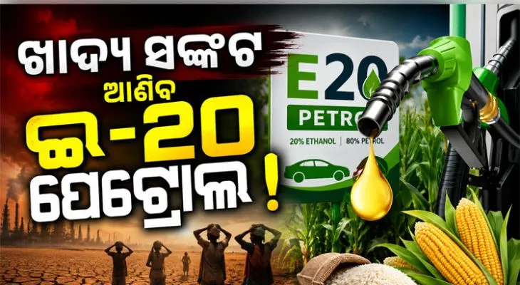ଦେଶରେ ଖାଦ୍ୟ ସଙ୍କଟ  ଆଣିବ ଇ-୨୦ ପେଟ୍ରୋଲ; ସତର୍କ କରାଇଲେ ମୁଖ୍ୟ ଅର୍ଥନୈତିକ ପରାମର୍ଶଦାତା