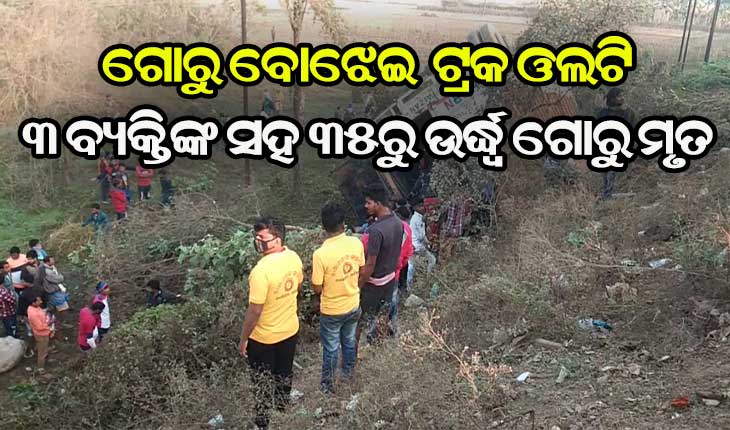 ପିକ୍‌ଅପ୍‌କୁ ଧକ୍କା ଦେଇ ଓଲଟିଲା ଗୋରୁ ବୋଝେଇ ଗାଡ଼ି, ୩ ବ୍ୟକ୍ତିଙ୍କ ସହ ୩୫ରୁ ଉର୍ଦ୍ଧ୍ବ ଗୋରୁ ମୃତ