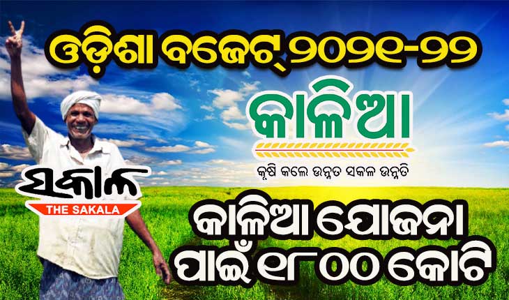 ରାଜ୍ୟ ବଜେଟ୍‌ ୨୦୨୧-୨୨ : କୃଷି ପାଇଁ ୨୦ ହଜାର କୋଟି ଟଙ୍କାର ବ୍ୟୟ ବରାଦ