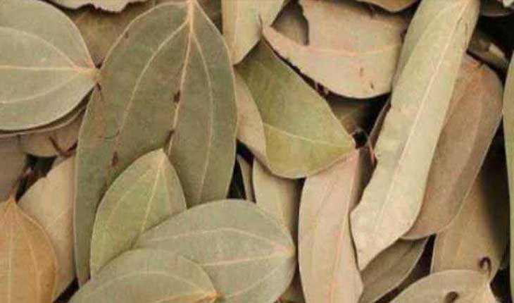 ଜାଣନ୍ତୁ ସୌନ୍ଦର୍ଯ୍ୟ, ତ୍ୱଚା, କେଶ ଏବଂ ଦାନ୍ତ ପାଇଁ ତେଜପତ୍ରର ଉପକାରିତା …
