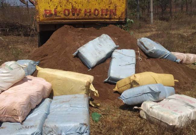 ବାଲି ବୋଝେଇ ଟିପରରେ ଗଞ୍ଜେଇ ଚୋରା ଚାଲାଣ, ୪୫ ଲକ୍ଷ ଟଙ୍କାର ଗଞ୍ଜେଇ ଜବତ