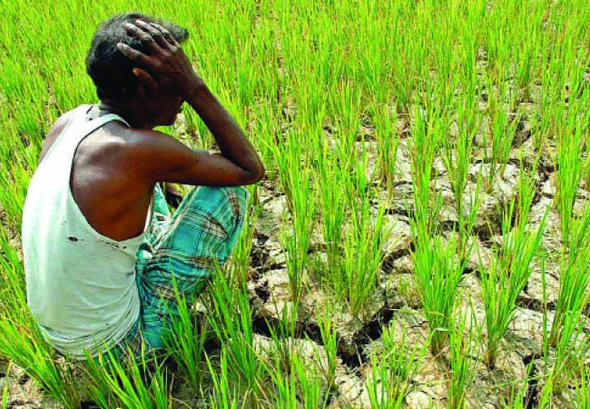 କୃଷିକୁ କାଳ ଜଳବାୟୁ ପରିବର୍ତ୍ତନ