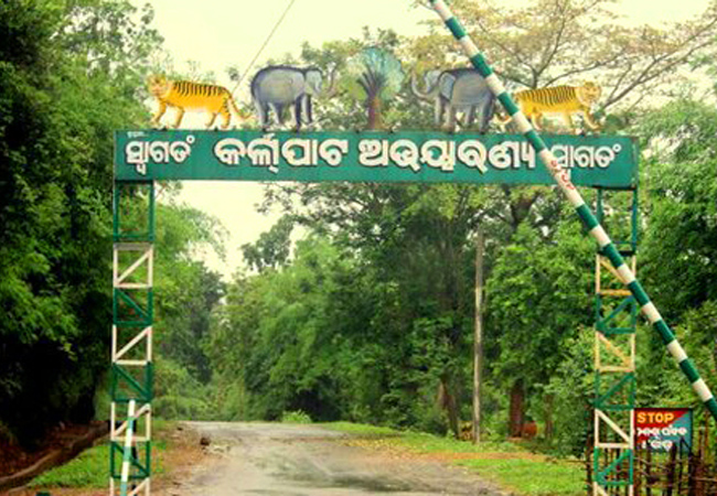 କର୍ଲାପାଟ ହାତୀ ମୃତ୍ୟୁ ଘଟଣା, ନିଲମ୍ବିତ ହେଲେ ପ୍ରାଣୀଧନ ନିରୀକ୍ଷକ