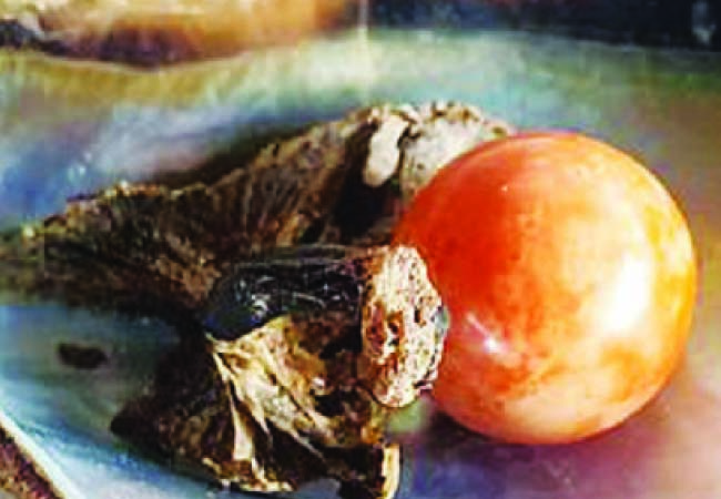 ମୋତିର ଦାମ୍‌ ୨ କୋଟି !