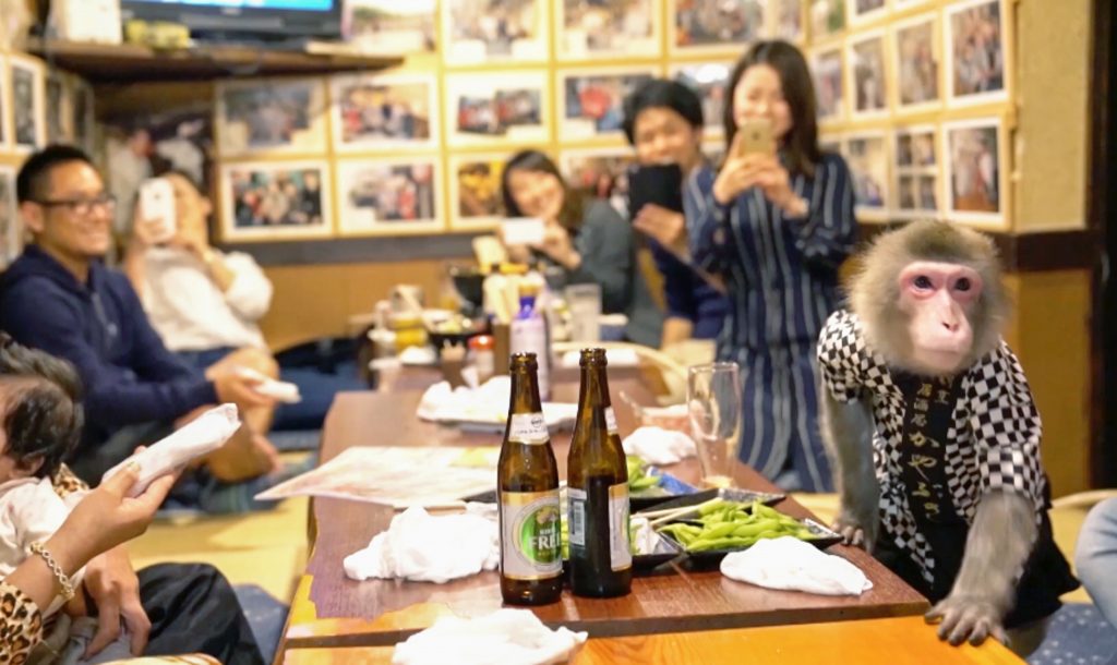 ୱେଟର୍ ସାଜିଛନ୍ତି ମାଙ୍କଡ଼