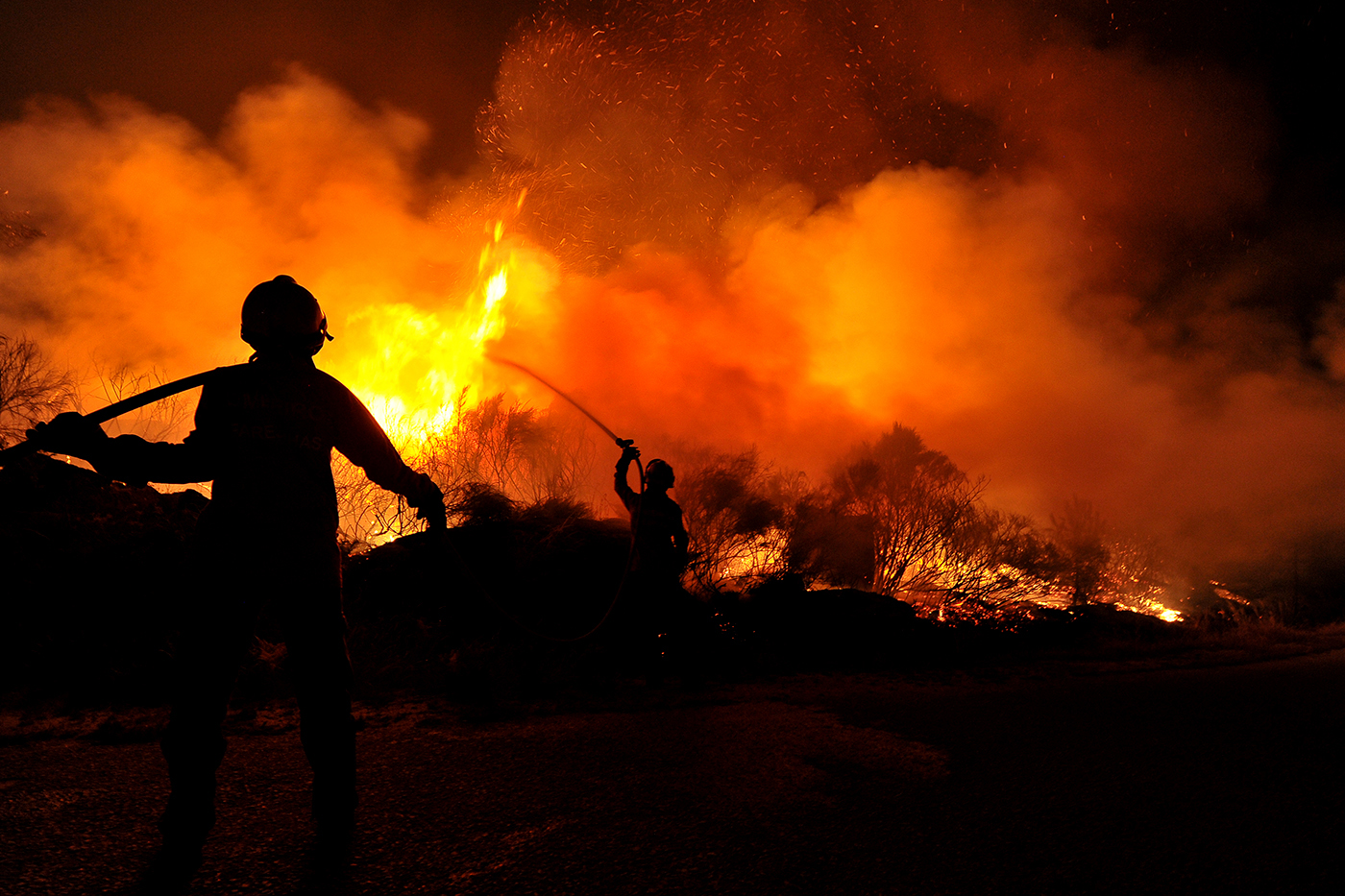 ନିଆଁ ଲିଭାଇବା ବେଳେ ଅଘଟଣ, ଜଳିଗଲେ ବନକର୍ମଚାରୀ