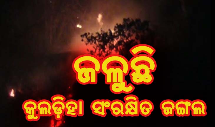 ଜଳୁଛି କୁଲଡ଼ିହା ସଂରକ୍ଷିତ ଜଙ୍ଗଲ, ୧୦ରୁ ଅଧିକ ଜାଗାରେ ଲାଗିଛି ନିଆଁ