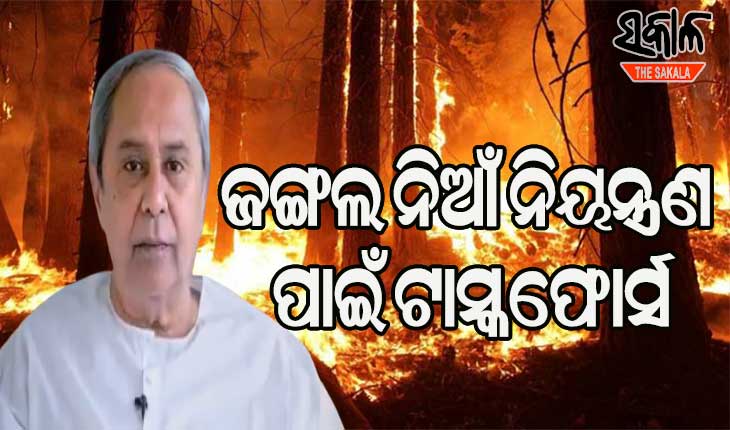 ଜଙ୍ଗଲ ନିଆଁକୁ ଆୟତ୍ତ ପାଇଁ ଟାସ୍କଫୋର୍ସ,  ୯ ଜଣିଆ କମିଟି ଗଠନ କଲେ ମୁଖ୍ୟମନ୍ତ୍ରୀ