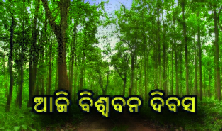 ଆଜି ବିଶ୍ବ ବନ ଦିବସ