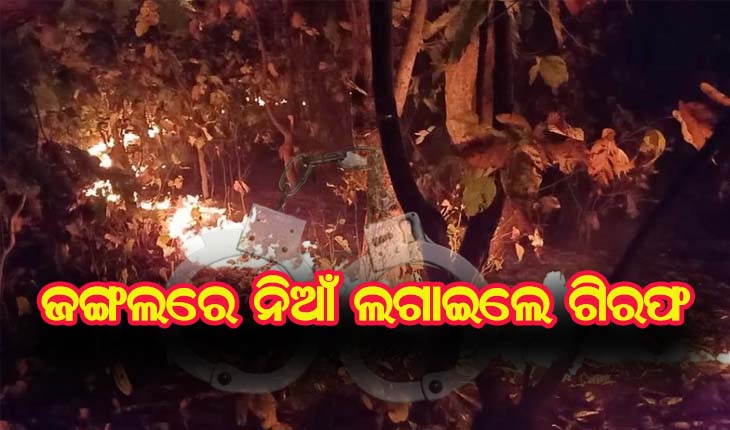 ଏଣିକି ଜଙ୍ଗଲରେ ନିଆଁ ଲଗାଇଲେ ଗିରଫ