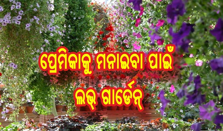 ପ୍ରେମିକାକୁ ମନାଇବା ପାଇଁ ଲଭ୍‌ ଗାର୍ଡେନ୍‌