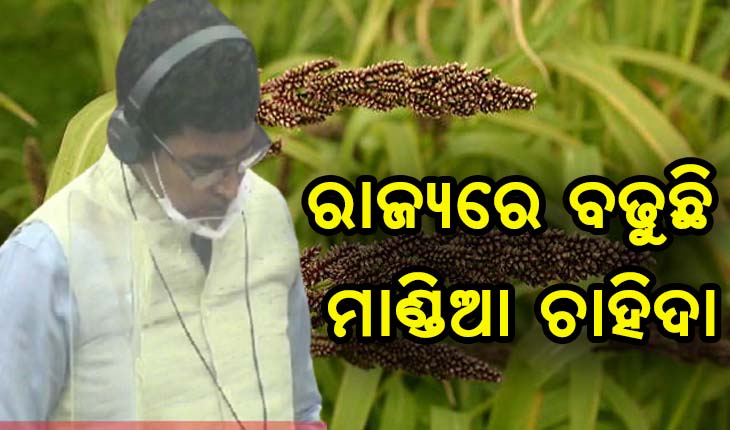 ରାଜ୍ଯରେ ବଢୁଛି ମାଣ୍ଡିଆ ଚାହିଦା, ମନ ଜିଣୁଛି ମିଲେଟ ମିଶନ- କୃଷି ମନ୍ତ୍ରୀ ଅରୁଣ ସାହୁ